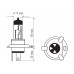 Bosma Komplektas H4, P43t, 60/55W, baltos